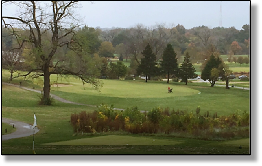 Probstein Course -Forest Park St. Louis, MO