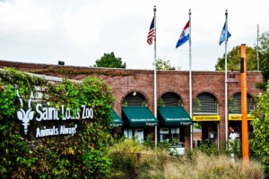 St. Louis Rotary at the Zoo 6/22/23
